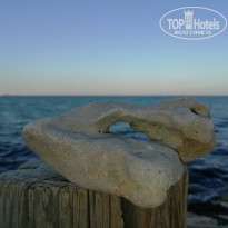 фото из отзыва ID 2023791