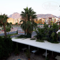 фото из отзыва ID 2023809