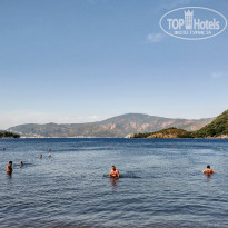 фото из отзыва ID 2023873