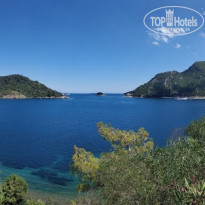 фото из отзыва ID 2023873