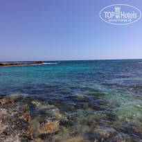 фото из отзыва ID 2024515