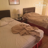 фото из отзыва ID 2024659