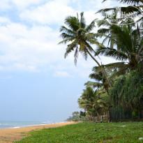 фото из отзыва ID 2024031