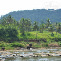 фото из отзыва ID 2024031