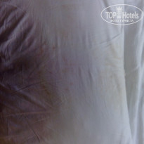 фото из отзыва ID 2025022