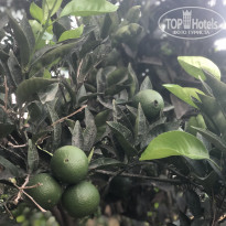 фото из отзыва ID 2024978