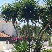 фото из отзыва ID 2025046