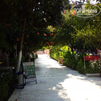 фото из отзыва ID 2025087