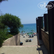 фото из отзыва ID 2025087