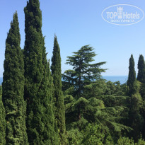 фото из отзыва ID 2025105