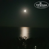 фото из отзыва ID 2025072