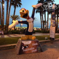 фото из отзыва ID 2025118