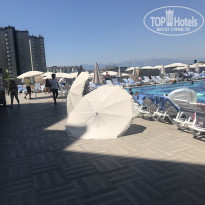 фото из отзыва ID 2025110