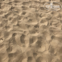 фото из отзыва ID 2024894