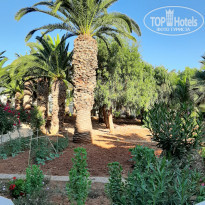 фото из отзыва ID 2025228