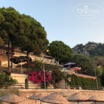 фото из отзыва ID 2025265