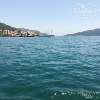 фото из отзыва ID 2025332