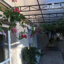 фото из отзыва ID 2025356