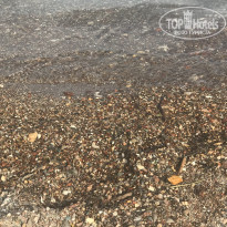 фото из отзыва ID 2025184