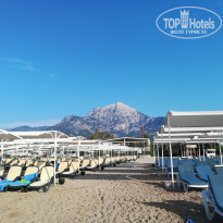 фото из отзыва ID 2025372