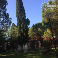 фото из отзыва ID 2025396