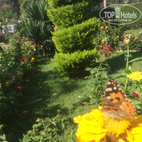 фото из отзыва ID 2025396