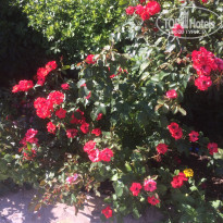 фото из отзыва ID 2025396