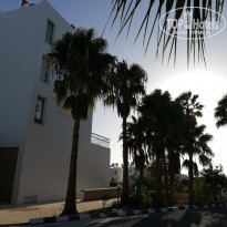 фото из отзыва ID 2025287