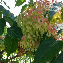 фото из отзыва ID 2025688