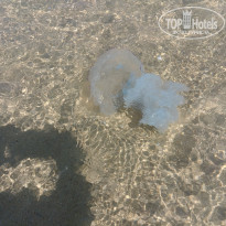 фото из отзыва ID 2025688