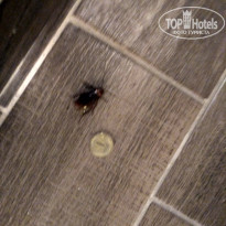 фото из отзыва ID 2025775