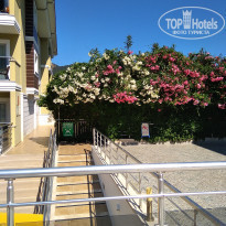 фото из отзыва ID 2025695