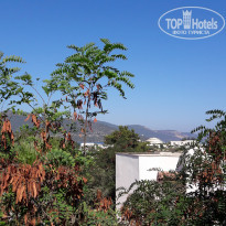 фото из отзыва ID 2025825