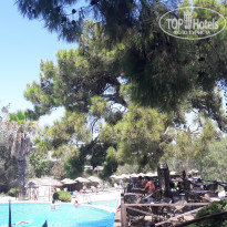 фото из отзыва ID 2025825