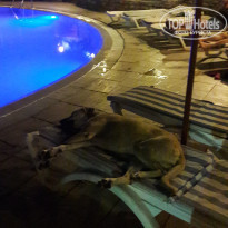 фото из отзыва ID 2025825