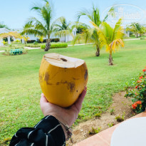 фото из отзыва ID 2025777