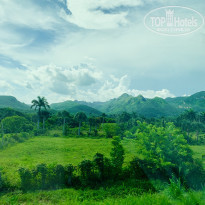 фото из отзыва ID 2025777