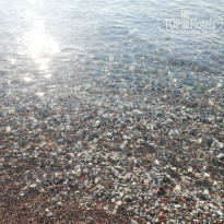 фото из отзыва ID 2025796