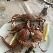 фото из отзыва ID 2025878