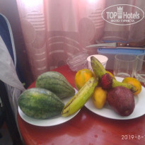 фото из отзыва ID 2025898