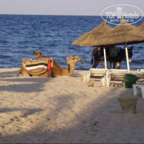 фото из отзыва ID 2025997