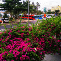 фото из отзыва ID 2026060