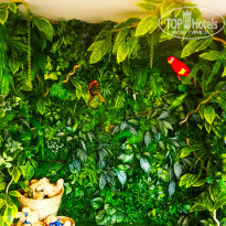 фото из отзыва ID 2026060