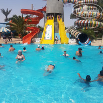 фото из отзыва ID 2026087