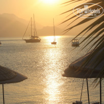 фото из отзыва ID 2026141