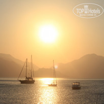 фото из отзыва ID 2026141