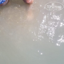 фото из отзыва ID 2026248