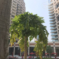 фото из отзыва ID 2020568