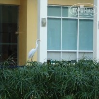 фото из отзыва ID 2026326