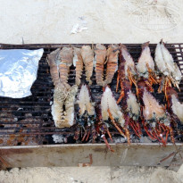 фото из отзыва ID 2026008